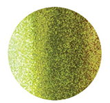 THE GREAT GOOGLE MOOGLY