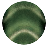 POLAR ATTRACTON (GREEN)